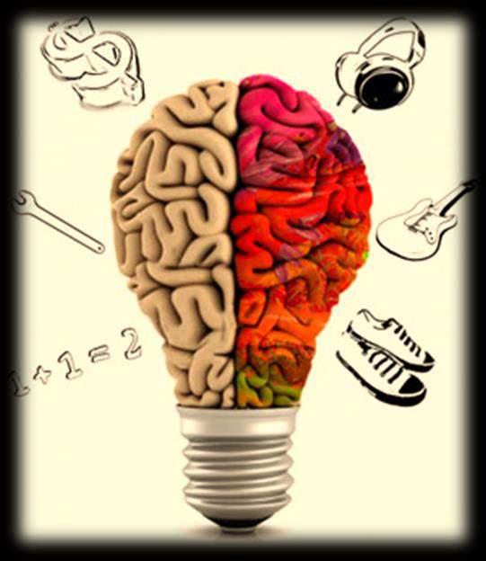 A criatividade e o conhecimento sobre o cérebro humano A intensificação dos estudos e pesquisas a respeito do cérebro nos últimos