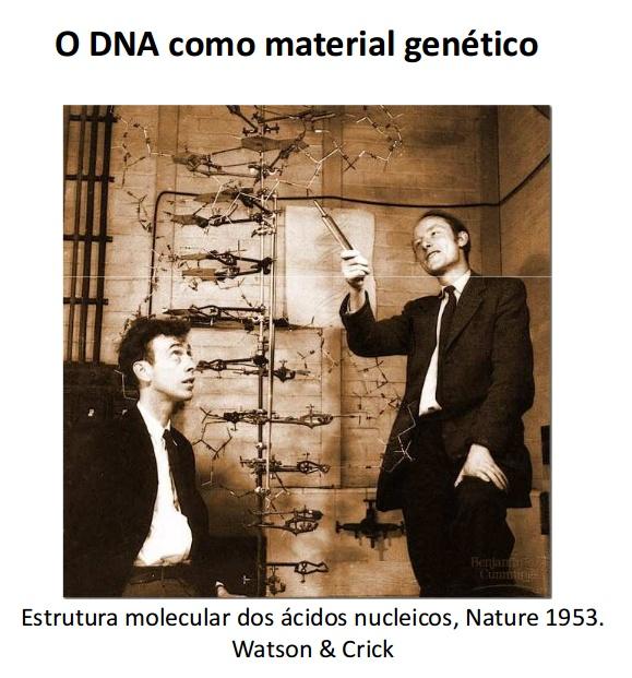 DNA/RNA como