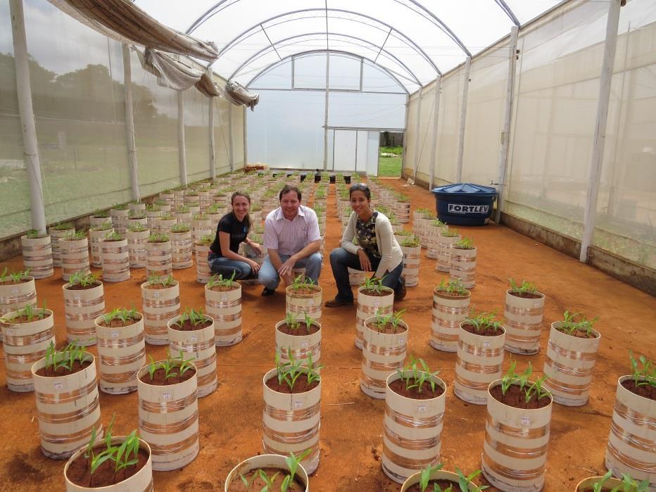 Trabalhos em casa de vegetação Mais de 20