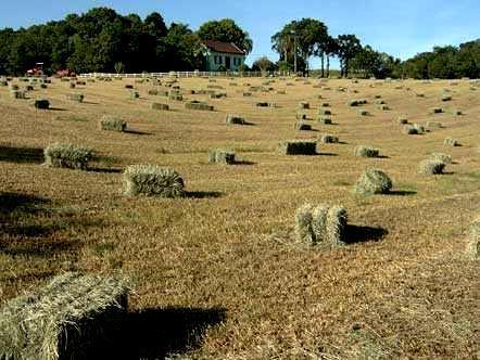 Interação entre as propriedades do solo Mudanças nos sistemas preparo do solo Obtenção de altas produtividades Colocar