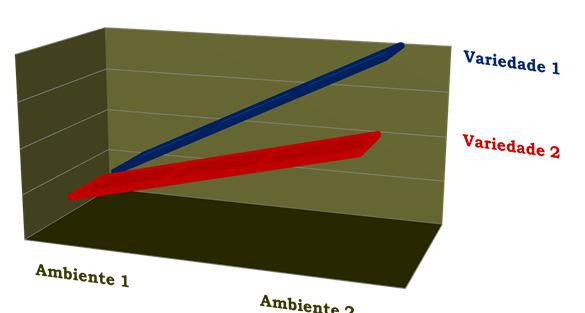 18/04/017 Interação Simples Interação Complexa Variedade 1 Variedade mbiente 1 mbiente Conseqüências da interação genótipo x ambiente inversão do comportamento causa problemas para o melhoramento.