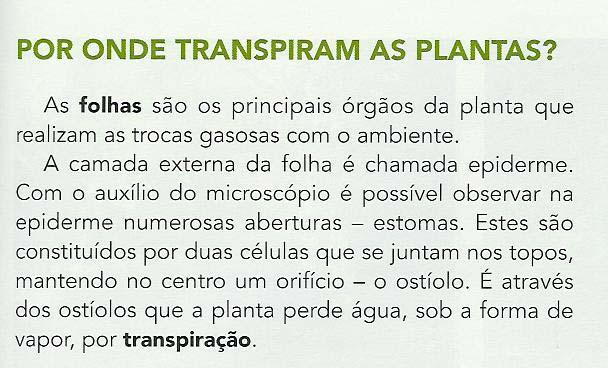 Elsa S. podes ler o texto dessa página A (lê um pequeno texto sobre os estomas) Figura 28 Texto da página 29 do manual adoptado Parte 2 Elsa certo. nesta página temos o aprendeste que.