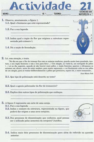 actividade 21 do caderno de actividades