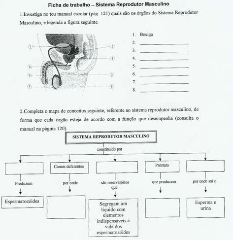 51 - Páginas 120 e 121 do manual adoptado Parte 1 Figura 52