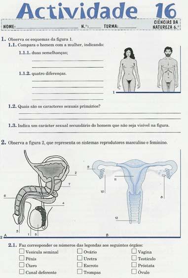 Figuras 58 e 59 - Páginas 37 e 38 da Actividade 16 do Caderno de Actividades do manual adoptado Parte 1 Carla até agora estudámos a constituição do sistema reprodutor masculino e feminino.
