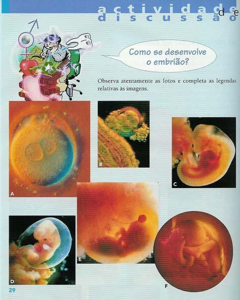 Figura 67 Página 124 do manual adoptado Parte 1 [O texto do manual refere-se à placenta, ao cordão umbilical, ao saco amniótico e às respectivas