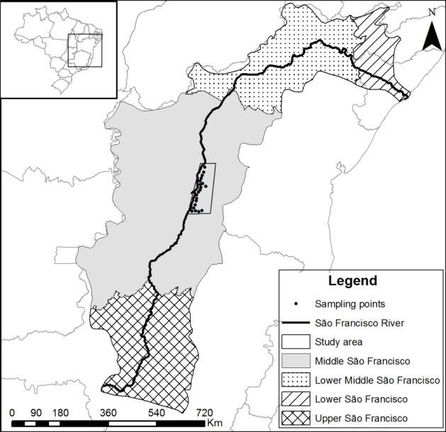 Figura 1.1. Subdivisão da bacia do São Francisco e delimitação da área de estudo e dos pontos de coleta no Médio São Francisco.