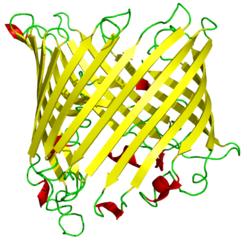 Estrutura