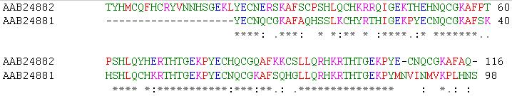 Análise Comparativa: Alinhamentos Objetivo Encontrar sinais biológicos a respeito da evolução, estrutura e função através do estudo da similaridade entre as sequências par ); (Ex.