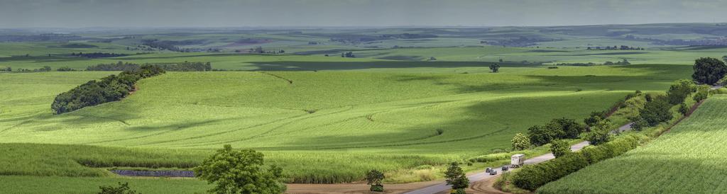 AGRICULTURA DA REGIÃO EM SINTONIA COM A SUSTENTABILIDADE OPORTUNIDADES