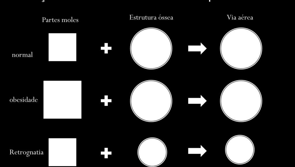 Introdução 28 Figura 3 Interação entre estrutura óssea e partes moles. Fonte: (Genta et al, 2010).