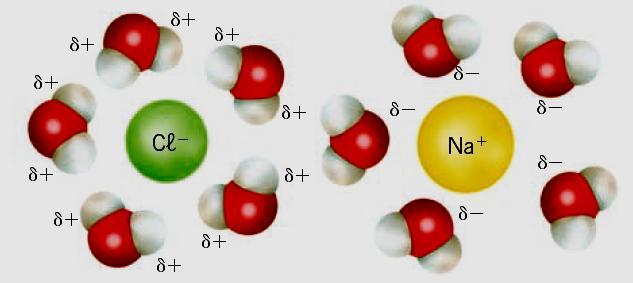 Quando se dissolve um composto iónico num solvente polar, surgem forças de natureza eletrostática entre os