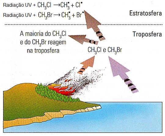 Exemplos da formação de radicais livres Por lado, os radicais O e H podem ligar-se formando o radical hidroxilo HO O + H HO Existem muitas reações que dão origem ao radical hidroxilo.