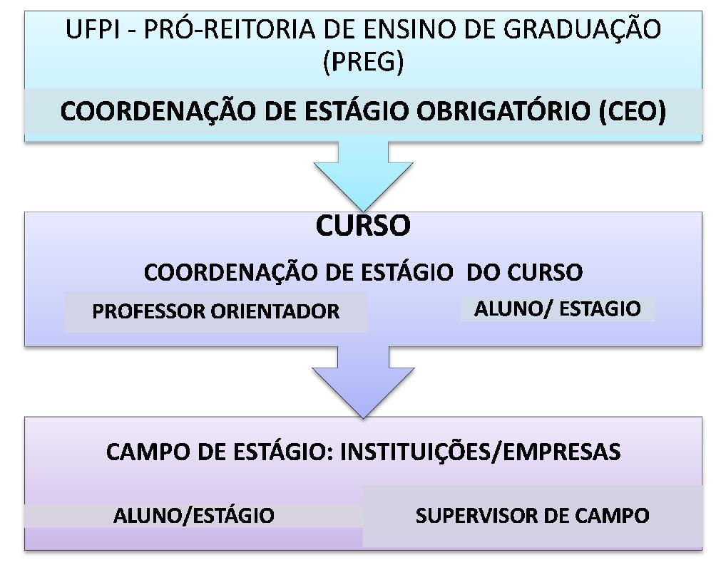 8 unidades de ensino da UFPI, como: Programa de Monitoria, Programa de Estudantes- Convênio de Graduação (PEC-G), Projeto Milton Santos de Acesso do Ensino Superior (PROMISAES), Programa de Bolsa