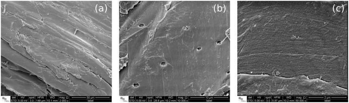 Fig. 4. Surface images of the untreated sugarcane bagasse obtained by FESEM.