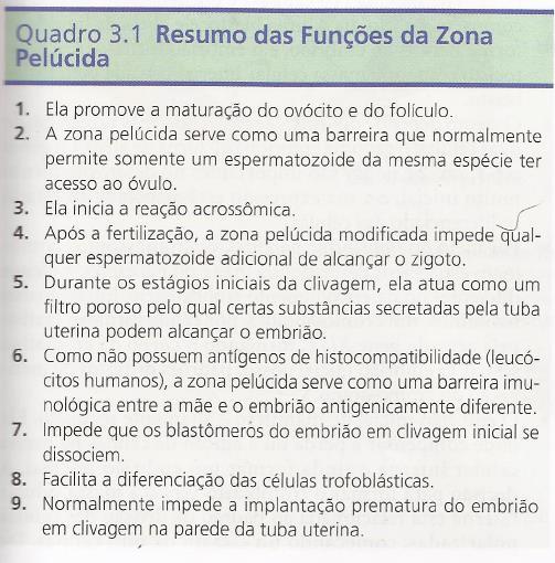 Mudanças e função da zona pelúcida Fonte: Carlson B.