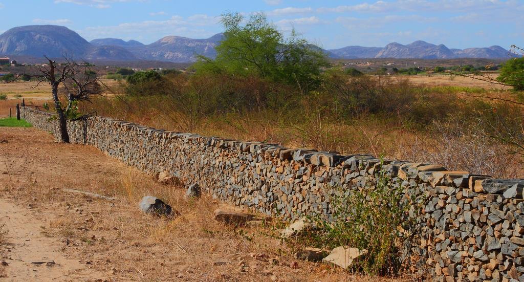 A incompatibilidade da monocultura canavieira com a pecuária extensiva no litoral empurrava esta última atividade para o sertão, a partir de meados do século XVII.