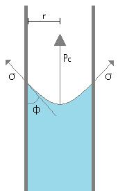 mecanismo da capilaridade faz com que o líquido penetre no interior do capilar e suba até que o peso da coluna de água equilibre a sucção capilar.