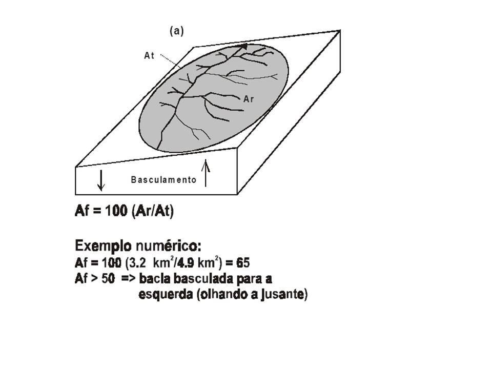 Processamento dos dados do Modelo Digital de Elevação da SRTM Identificação das