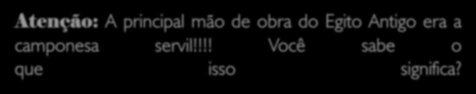 Atenção: A principal mão de obra do Egito Antigo era a