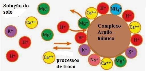 Os nutrientes requeridos pelas plantas são denominados de: Macronutrientes: nitrogênio (N), fósforo magnésio (Mg) e enxofre (S) (P),