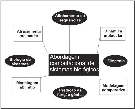 18 O foco de estudo da área de estrutura de biomoléculas é associado ao entendimento das moléculas e situações desencadeadas pela ação de moléculas.