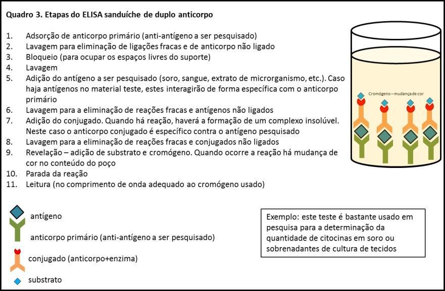 18 Diagnóstico