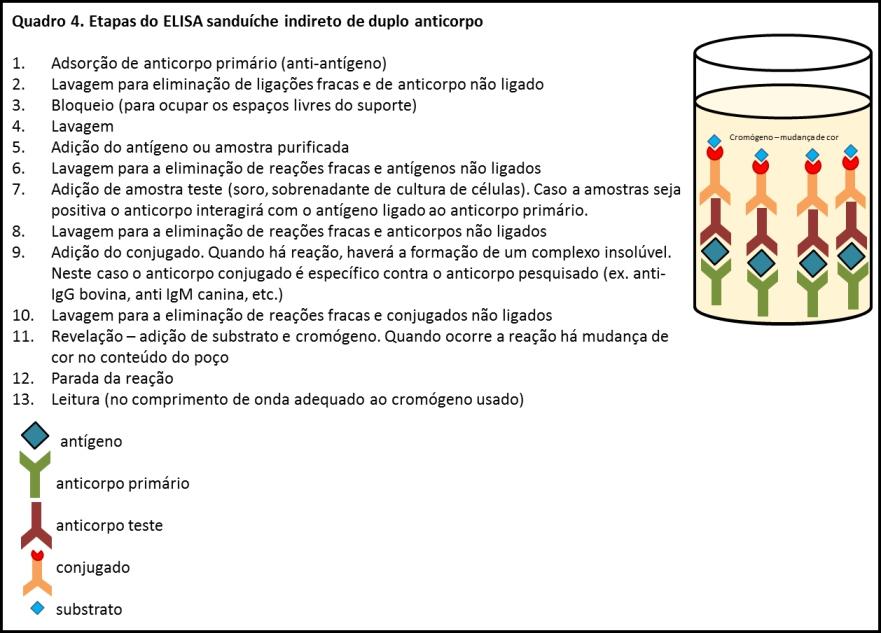 Imunoadsorvente Ligado