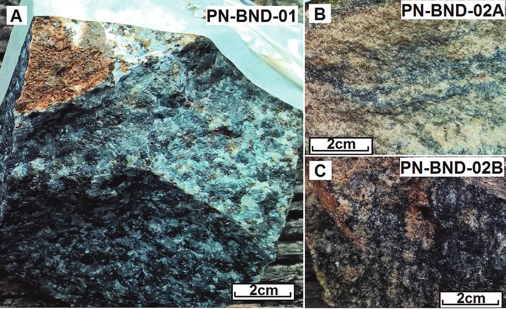 Magnetita vanadífera do Maciço Ponte Nova: uma Abordagem Exploratória De forma a detectar, na rocha matriz, a fase mineral portadora da anomalia de vanádio, foram concentradas frações magnéticas de