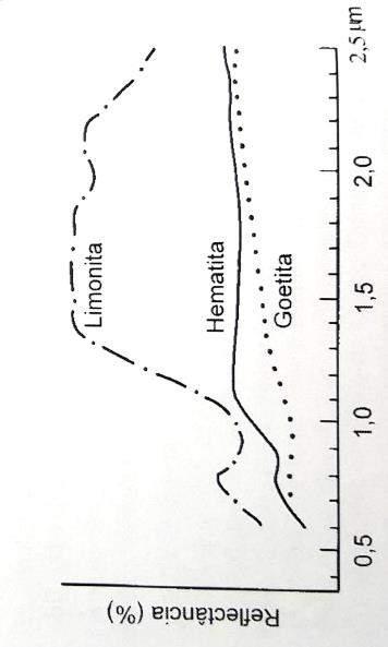 Os espectros padrão