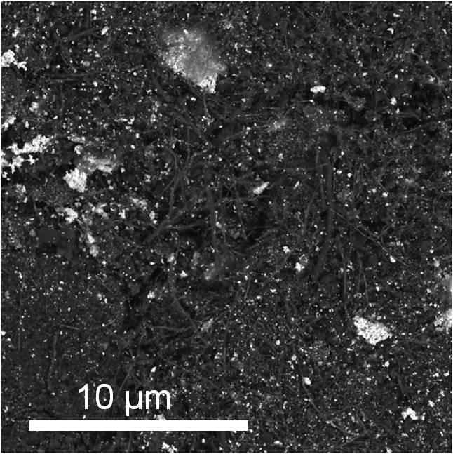 58 notam-se nanotubos de carbono sem partículas de platina depositadas sobre eles.