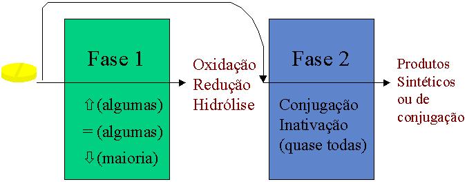 ELIMINAÇÃO A eliminação das drogas do organismo pode ocorrer tanto por biotransformação (predominantemente hepática) quanto por excreção (predominantemente renal).