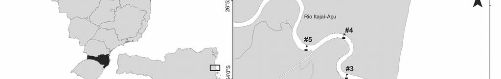 em uma grave enchente no final do mês de novembro no litoral catarinense. Tabela 1. Localização dos pontos de coleta no estuário do rio Itajaí-Açu (SC) entre maio de 2008 e novembro de 2011.