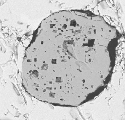 Diminutos cristais cromíferos, inclusos em pirrotita ou associados à borda deste sulfeto, também foram identificados em uma amostra de diopsidito sulfetado do médio Ribeirão da Folha. (Fig. 21).