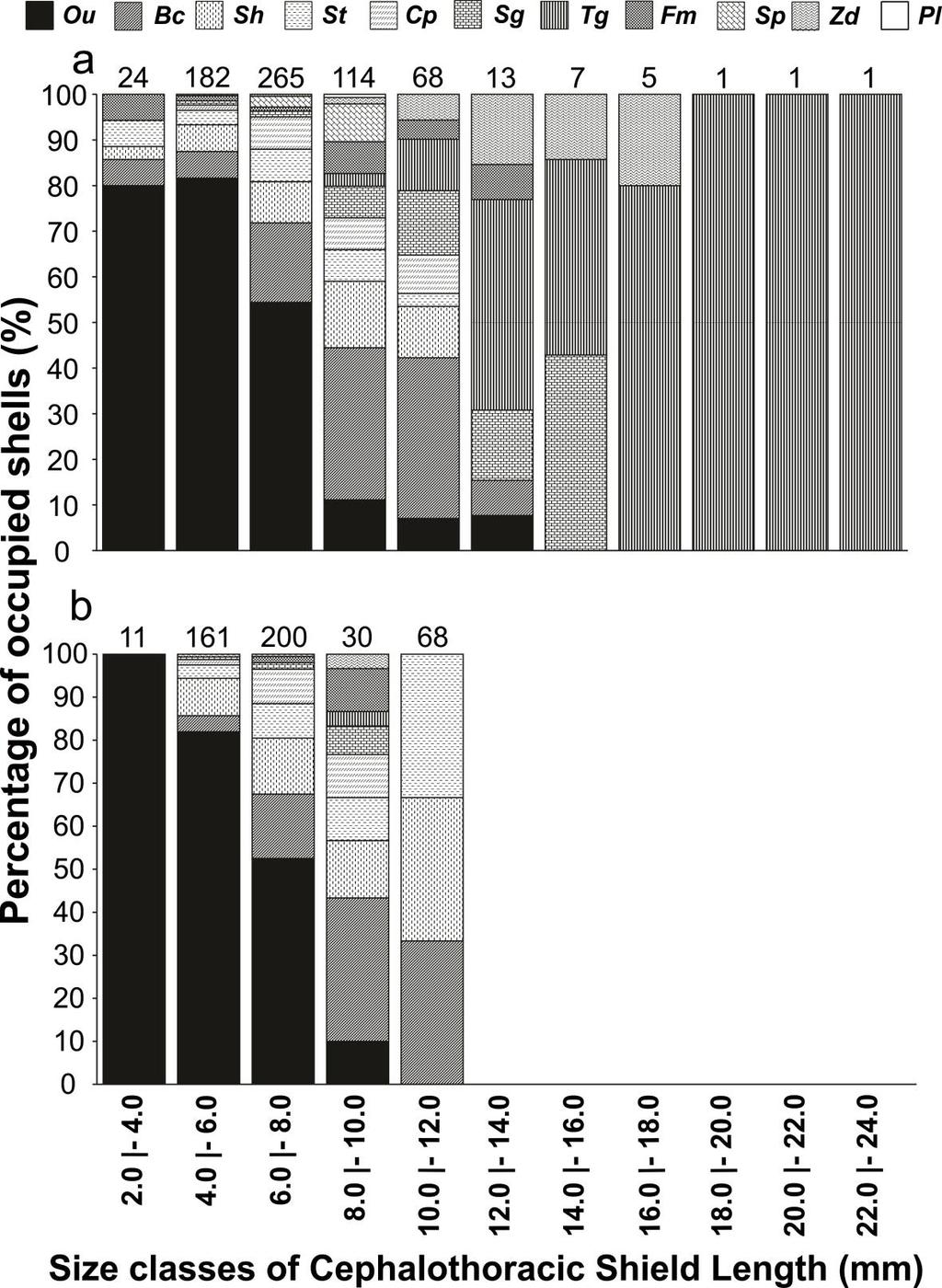 Shell occupation by D. insignis Frameschi IF 2014 Figure 2. D. insignis. Percentage occupancy of different gastropod species in each size classes by males (a) and females (b).