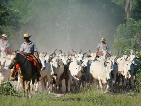 Página /7 1º Item Sabendo-se que r 1, r e r 3 são números reais tais que r 1 r e r 1 + r + r 3 são racionais, analise as afirmações abaixo I. Se r 1 é racional ou r é racional, então r 3 é racional.