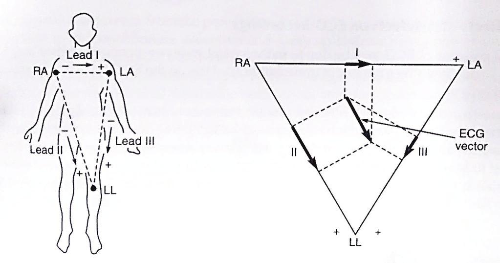 35 Figura 14 - Triângulo de Einthoven Fonte: KHANDPUR (2003) Derivação Unipolar: Neste modelo, um único eletrodo é utilizado para captar os potenciais separadamente, sendo as duas configurações