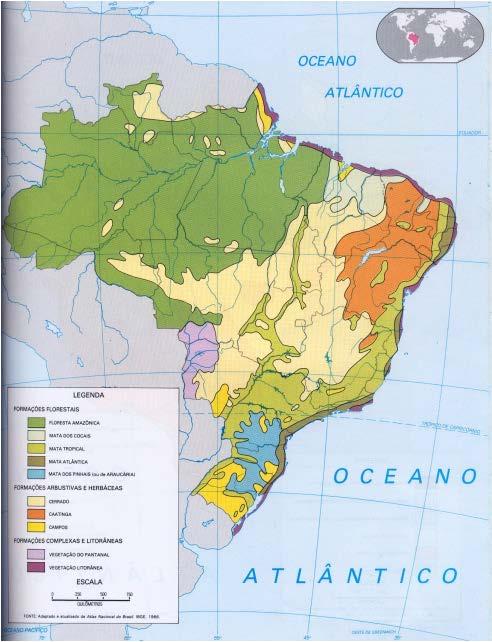Comunicação cartográfica No mapa de Vegetação do Brasil, a base
