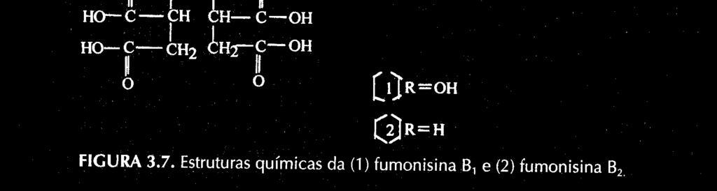 µg/kg ZEARALENONA Efeitos tóxicos Atividade estrogênica em animais = infertilidade (suinos, bovinos) (conformação semelhante à da 17-βestradiol e estrona: ligação aos receptores estrogênicos)