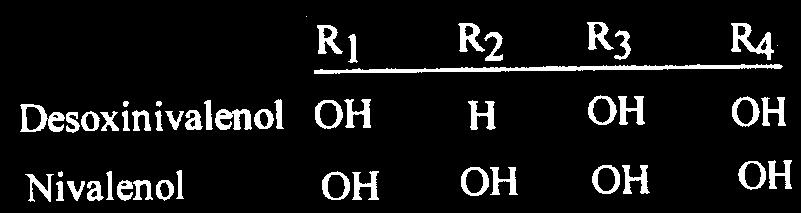 TRICOTECENOS Gênero Fusarium (graminearum e culmorum) Mais de 150 tricotecenos são conhecidos; grupos A, B (epóxido, Desoxinivalenol e Nivalenol), C, D, toxina T2 TRICOTECENOS Efeitos nocivos