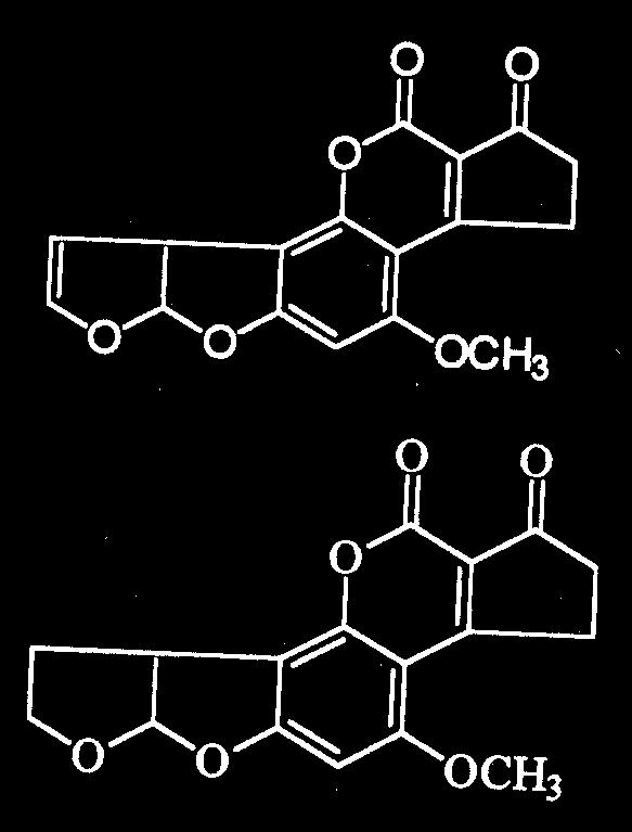 AFLATOXINA B 1 : biotransformação Estabilidade AFLATOXINAS