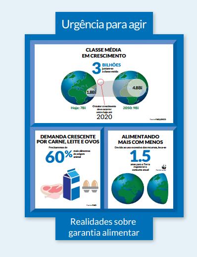 DISTRIBUIDORES