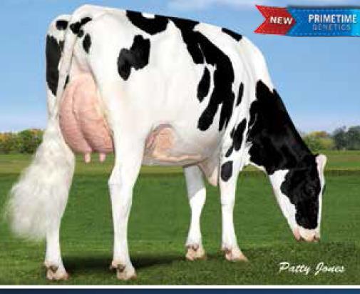 MR NAMESAKE 29HO16981- MOGUL X GERARD X SHOTTLE X CHAMPION Novidade que já está em nosso estoque, NAMESAKE possui um pedigree invejável, MOGUL X GERARD X SHOTTLE X CHAMPION, ao lado de uma prova