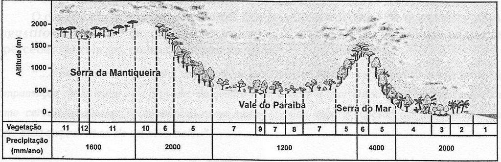 Vegetation Altitudinal Transect East of São Paulo State (Adapted from HuecK, 1972) Araucaria Forest / Grassland/ Hillside Forest / Semideciduous / Savanna / SDF / Cloud Forest /Lowland / Mangrove