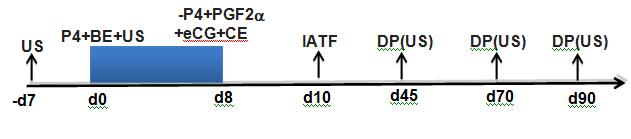 366 cipionato de estradiol (CE); em d10 efetuou-se a IATF; o GDES (Grupo Deslorelina; n = 60) foi submetido a idêntico protocolo, exceto que em d10 foi aplicado 1,0 mg de acetato de deslorelina (IM)
