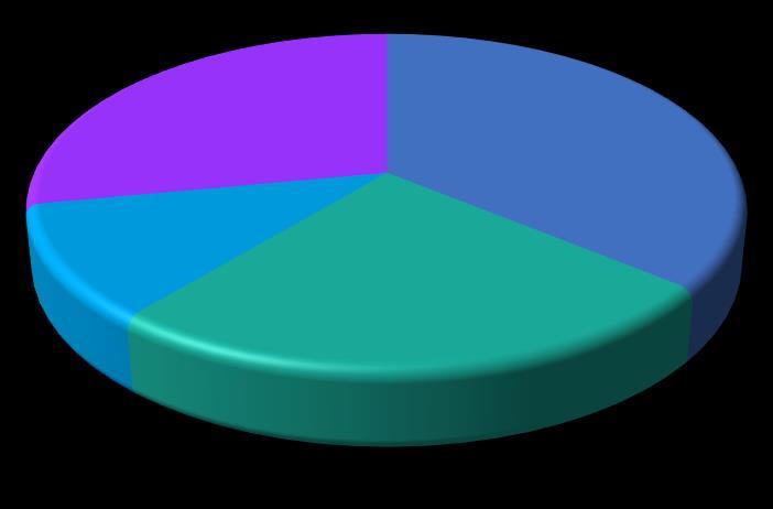 200 participantes Outros cargos 28% Diretores 36% Presidentes e VP 11% Gerentes