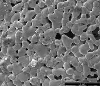 55 Figura 15. Micrografia obtida em microscópio eletrônico de varredura das partículas do material preparado por complexação de cátions (CA) e calcinado a 900 C por 10 horas.