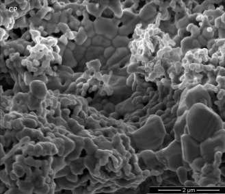 59 Figura 19. Micrografia obtida em microscópio eletrônico de varredura das partículas do pó preparado por coprecipitação (CP) e calcinado a 800 C por 4 horas.