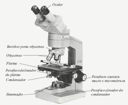 Microscópio