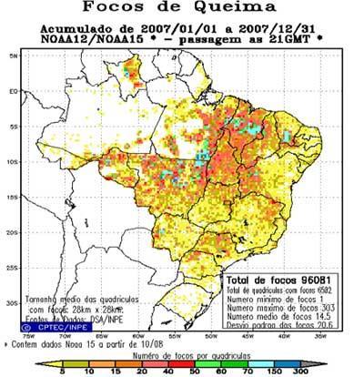 Mapa das queimadas Florestas Brasileiras Principais Vegetações que